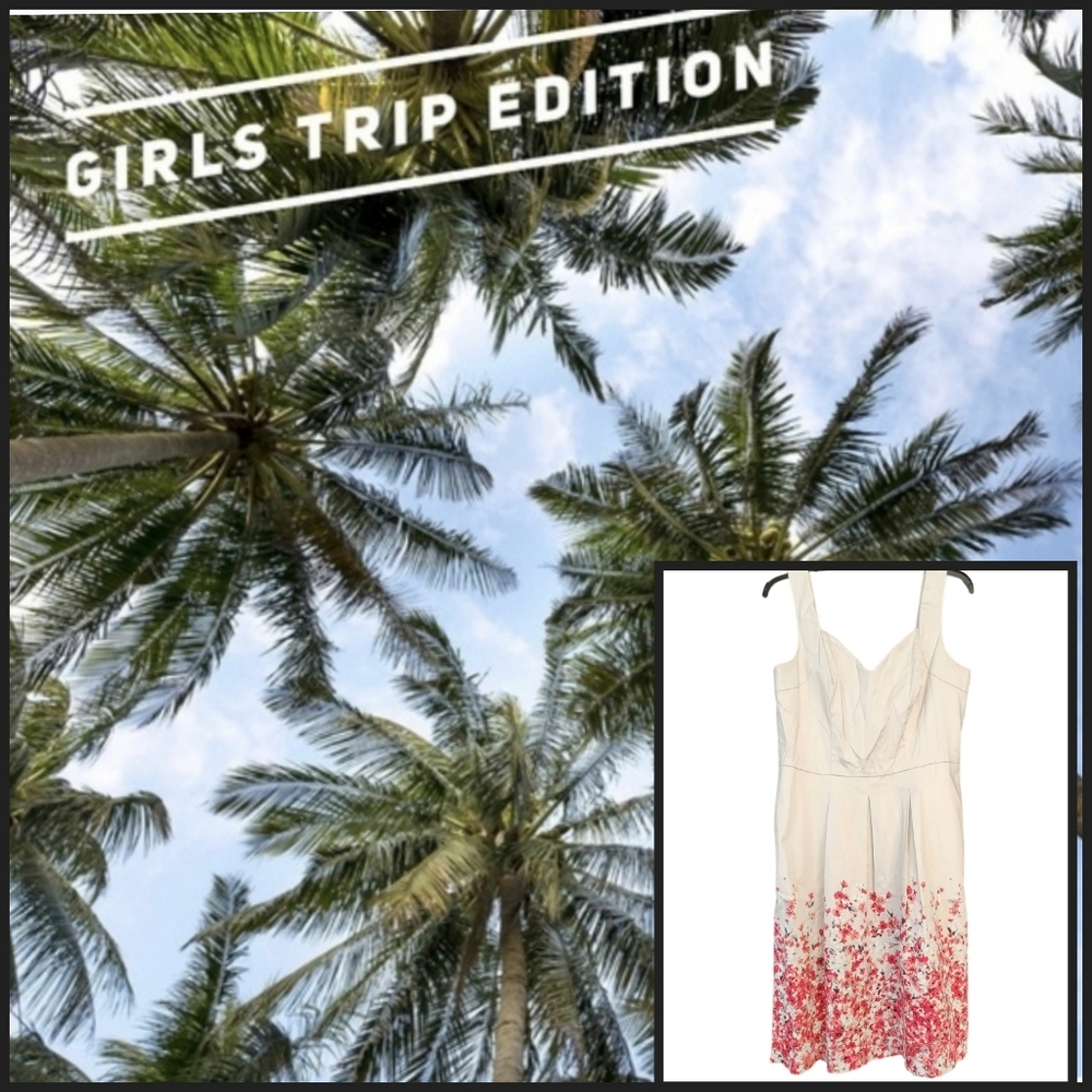 Girls Trip Edition: White House Black Market Ombre Floral Dress | Size 12